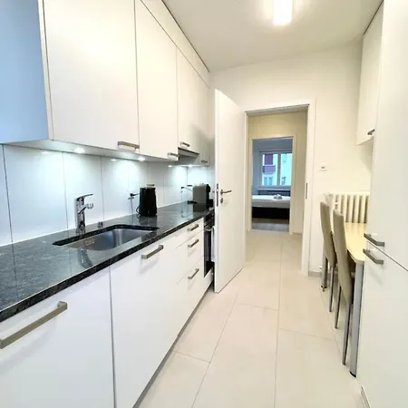 Apartment 3.5 In Zurich-oerlikon